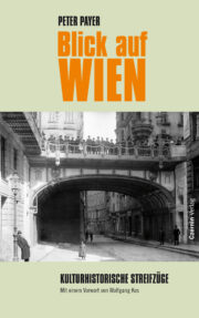 Peter Payer - Blick auf Wien